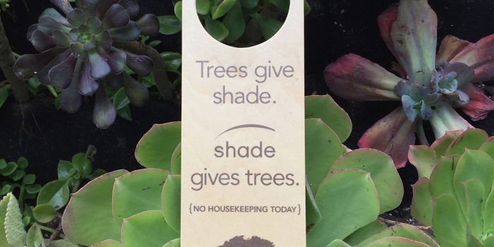 Shade Plant Design by The Graphic Element