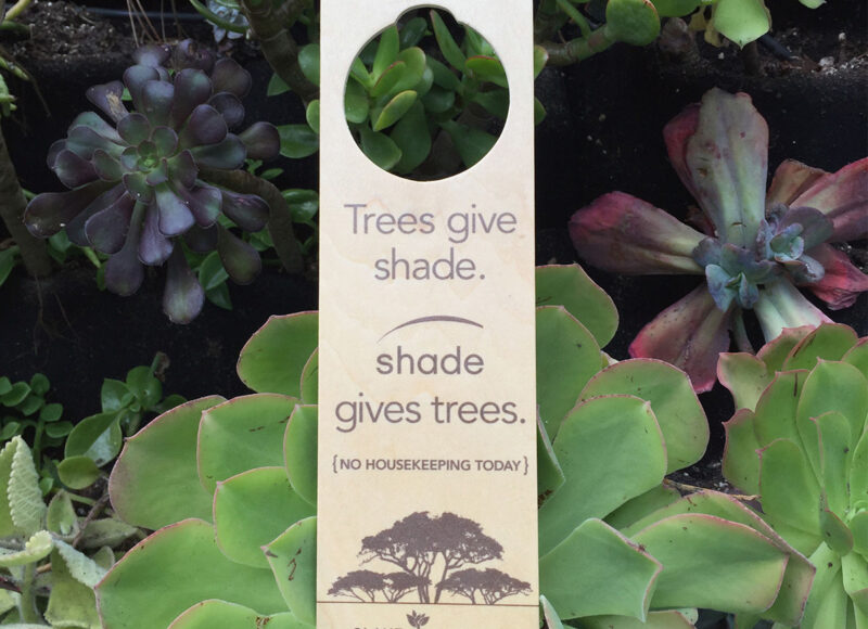 Shade Plant Design by The Graphic Element