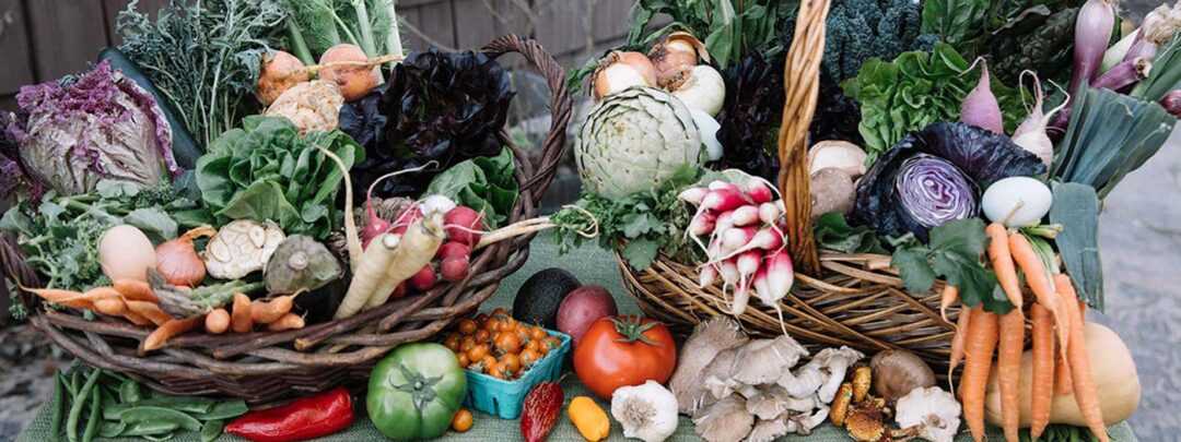 Curry Girls Kitchen Vegetables
